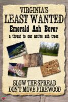 Virginia's Least Wanted - Emerald Ash Borer